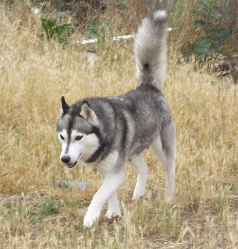 20110610%252520073.jpg