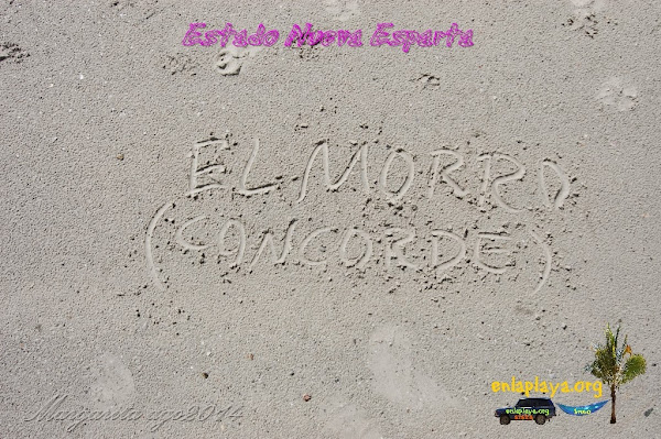 Playa El Morro NE007, estado Nueva Esparta, Margarita