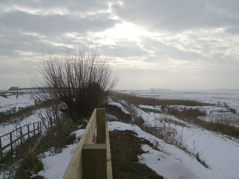 Welney nature reserve in the winter