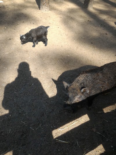 Photos of Niederbayerischer Vogelpark Abensberg
