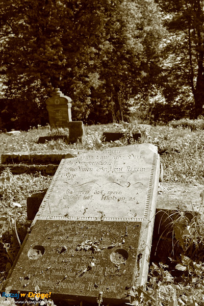 na żuławskim cmentarzu mennonitów