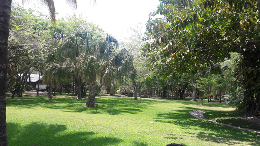 Jardin Botanico UNACAR, Calle Laguna de Términos S/N, Renovacion 2da SEcción, 24155 Cd del Carmen, Camp., México, Parque | NL