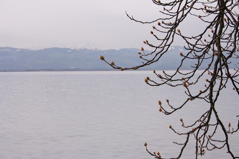 Road tripping. Бавария