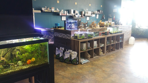Tropical Fish Store «Aquatic Treasures», reviews and photos, 2533-A Vandalia St, Collinsville, IL 62234, USA