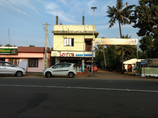 The Lotus Baby Shop, Haripad Town Rd, Danapadi, Haripad, Kerala 690514, India, Baby_Shop, state KL
