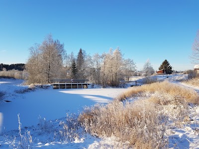 Photos of Auli M&oslash;lle