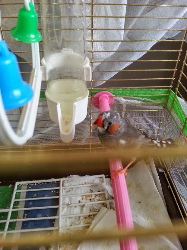 20130927_170030.jpg