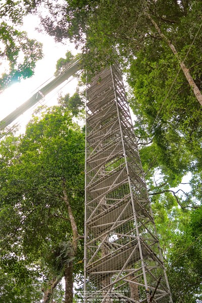 Photos of Canopy Walk Brunei