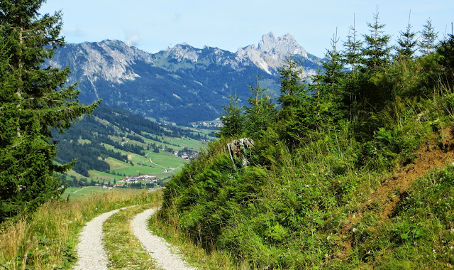 Stuibenalpe Schattwald Tannheimer Tal Tirol