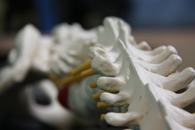 Photos of Sonoran Spine