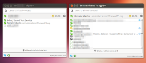 due  istanze di Skype in Ubuntu Linux
