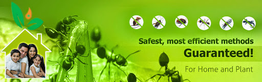 iCare Pest Control, Old No. 1090, New No. 64, Opp. IOB Bank, 100 Feet Road, Banaswadi Main Road, Bengaluru, Karnataka 560043, India, Pesticide_Store, state KA