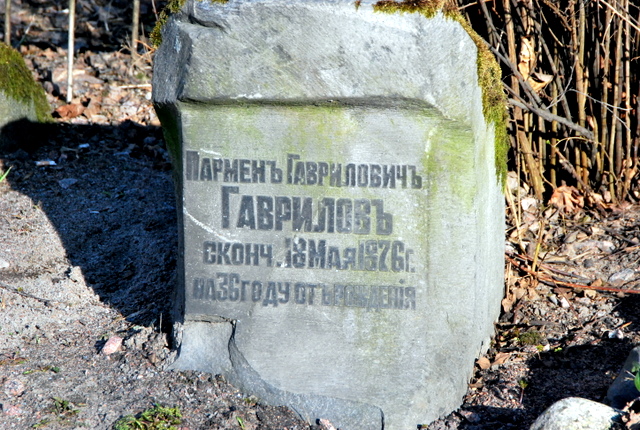 DSC_0315.JPG