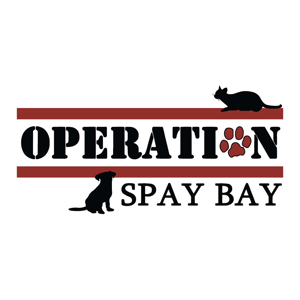 Operation Spay Bay, ÐŸÐ°Ð½Ð°Ð¼Ð° Ð¡Ð¸Ñ‚Ð¸. 