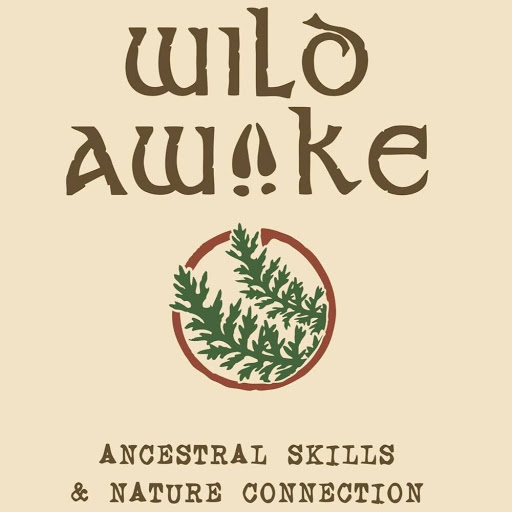 Wild Awake logo