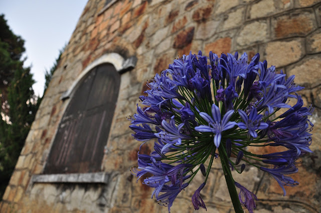 Review - Phượt Đà Lạt --> Suối Vàng ---> Thác Voi qua cung đường đèo Gia Bắc. - 38