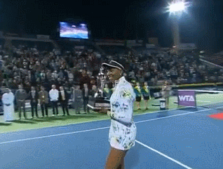 Veetrophy.gif