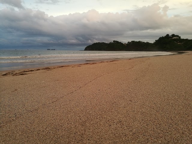 FlamingoCostaRica
