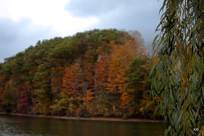 IMAGE: https://lh6.googleusercontent.com/-2nGtxiaBBoY/TpdzF-Q7W8I/AAAAAAAAXtk/zcA91_IkgnM/s700/_MG_5057.JPG