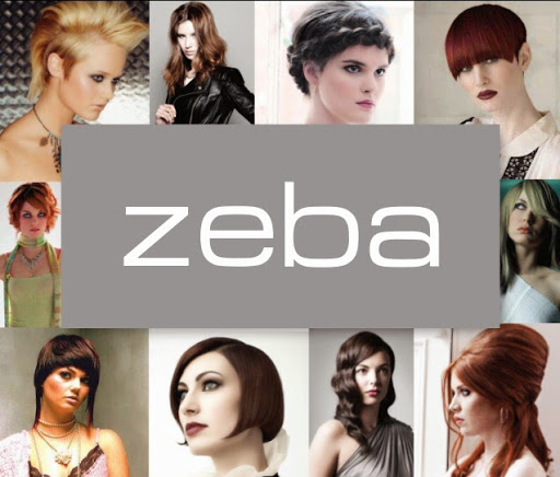 Zeba Hairdressing Maynooth logo