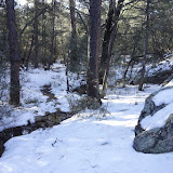 Miller Creek/ Rincon Peak Backpack (Dec 2013)