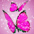 Marcie Carman avatar image