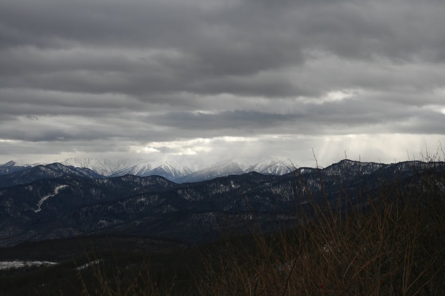 _MG_0947.JPG