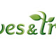 Leaves & Trees Ltd