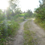 Trail on the spit in Belmont Lagoon (390332)