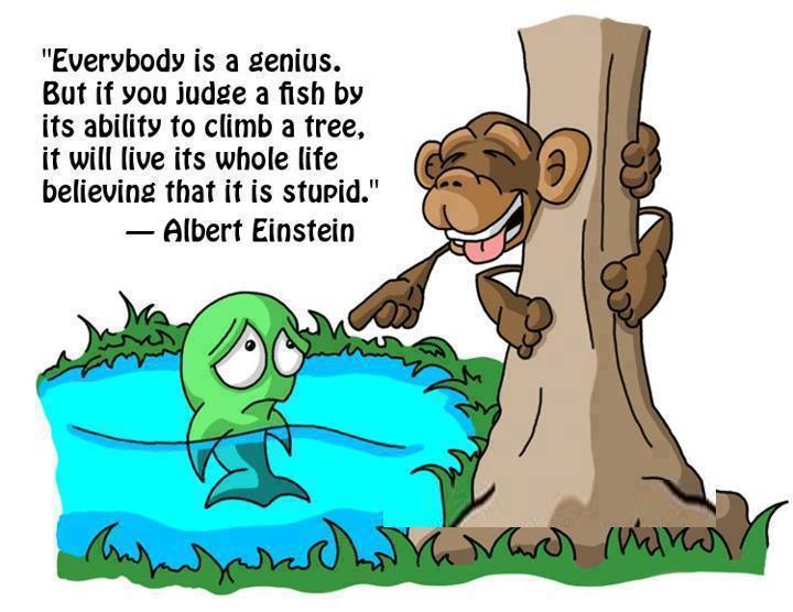 Image result for Everyone is a genius, but if you judge a fish by its ability to climb a tree, it will live its whole life believing that it is stupid.
