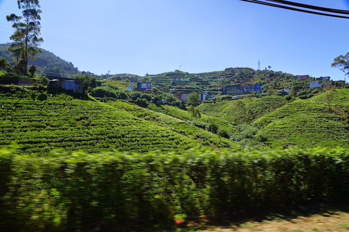 Шри-Ланка: на машине 1 100 км,  фото без комментариев, март-апрель 2013г.