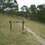 Six Foot Track signpost (11411)