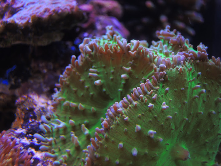 DSCN1090.JPG