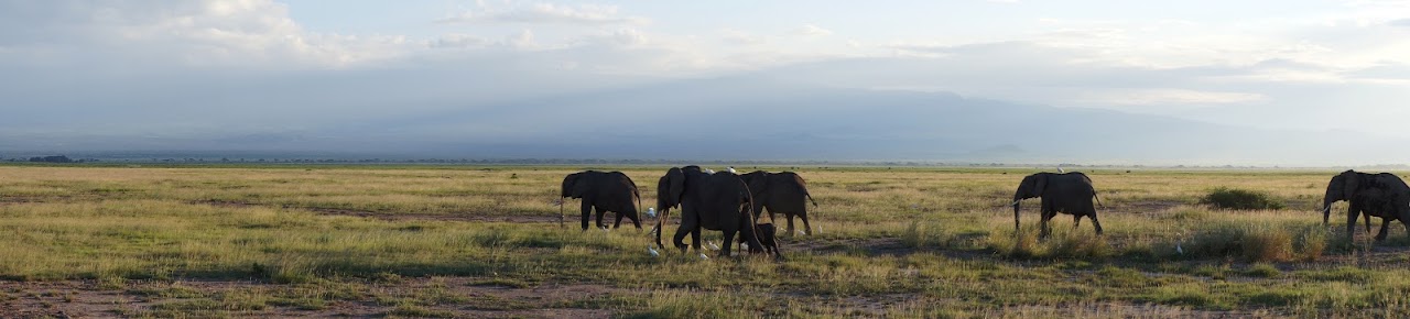 Кения+Танзания на Новый Год 2012