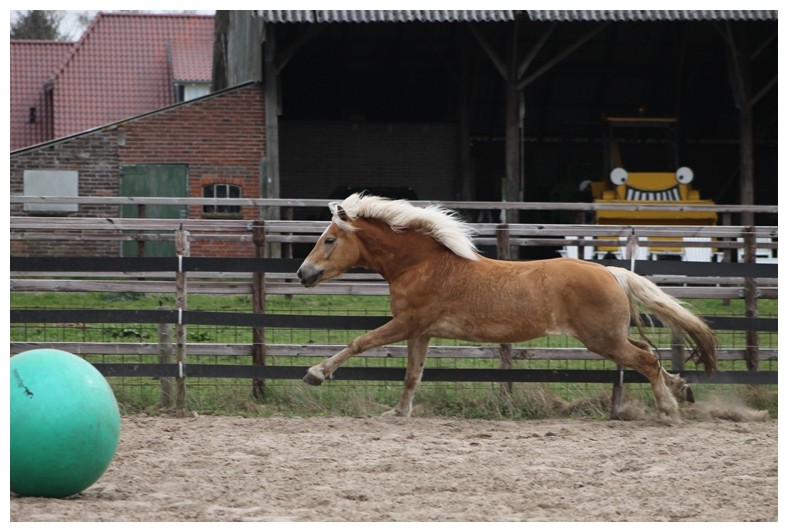 Afbeelding