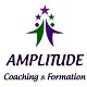 Amplitude Coaching&Formation
