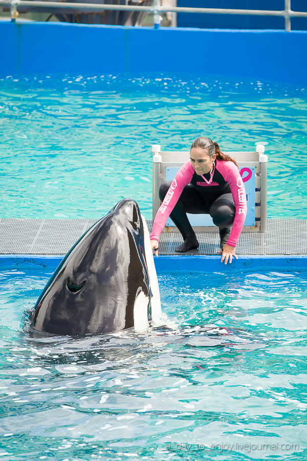 Miami Seaquarium 