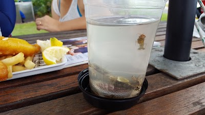 Photos of Muddy's Cafe