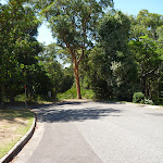 The end of Ridgeway road in New Lambton Heights close to Blackbutt Reserve (400720)