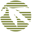 Bamboo Revolution logo
