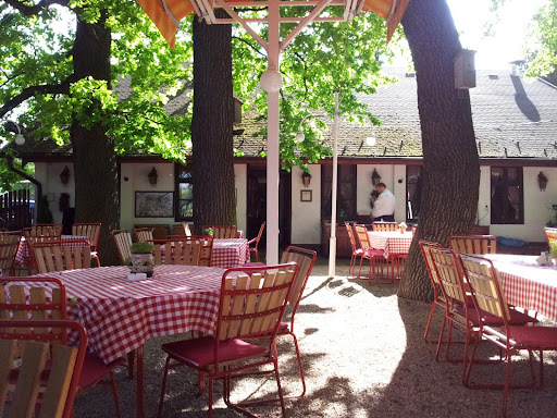 Place around image