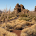 Teneryfa - park narodowy wokół Teide