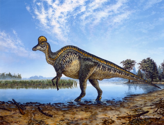 Le Corythosaure Corythosaurus-Michael-Skripnick