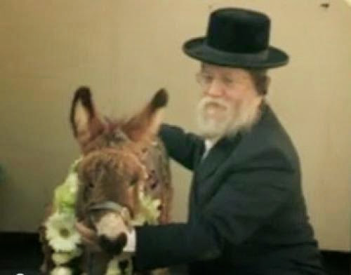 Blessing Animals In Synagogue In Pennsylvania Texas And Now In California