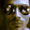 Daniel Bender Daniel Bender's profile photo