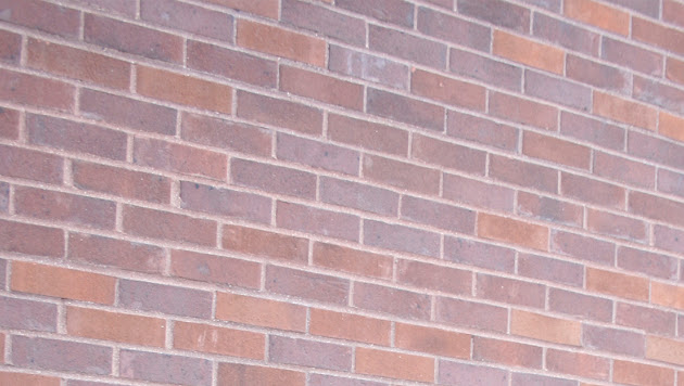 Cover photo
