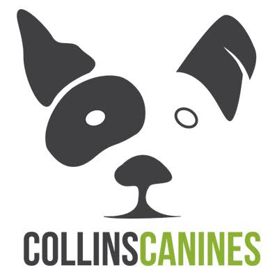 Collins Canines Doggy Daycare and Training Facility logo