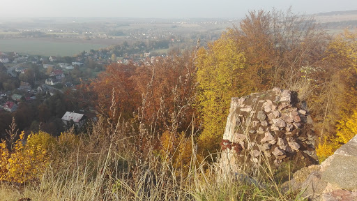 Castle Potštejn