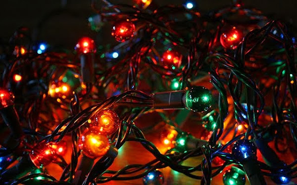 The Civic Christmas Tree lights up tonight | Riotact