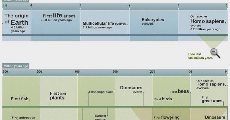 The History Corner: PREHISTORY TIMELINE